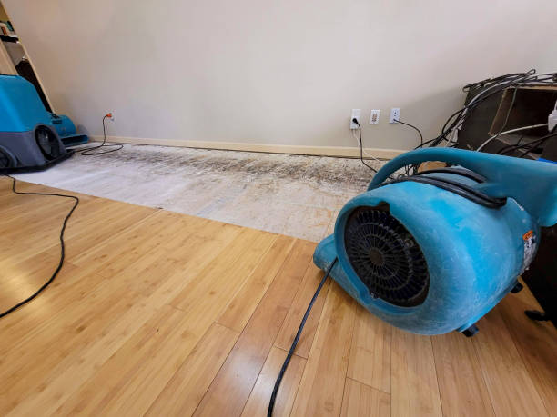 Professional Burst Pipe Water Damage technician working in Glendale, MO